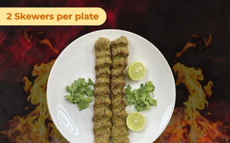 Chicken Turkish Kabab